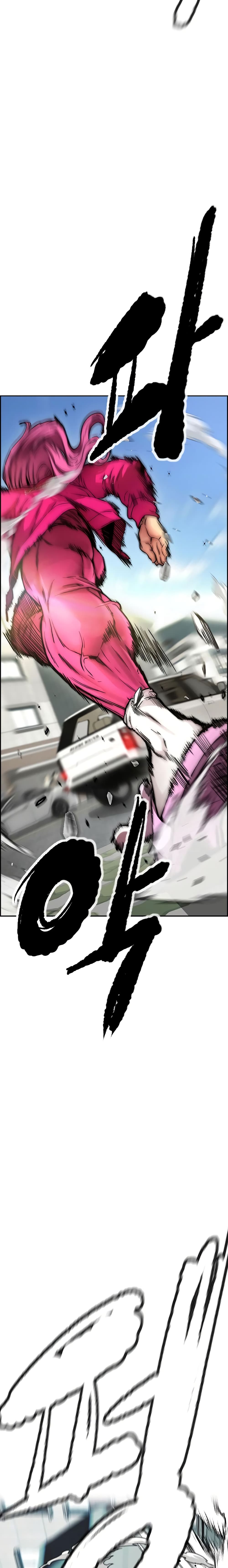 Windbreaker SS4 29 18